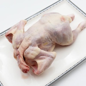 신선한 국내산 생닭(냉장) 12호 10호 7호 토종닭